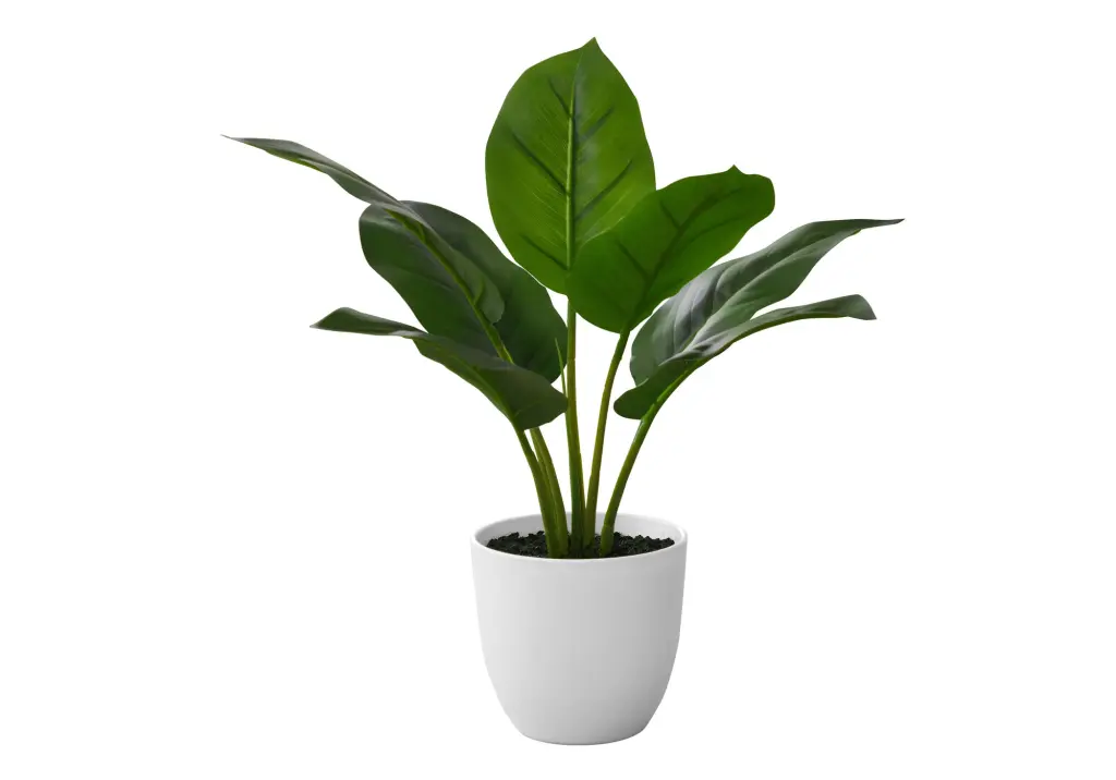 17 Inch Tall Artificial Aureum Plant Indoor Table Decor 8th street living