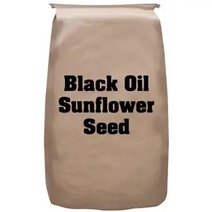 Jet-black Oil Sunflower Seed