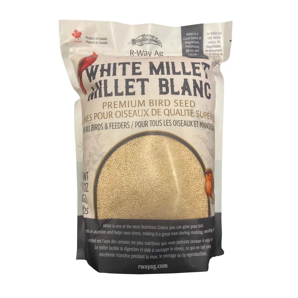 Premium Alabaster Millet Bird Seeds, 2 kg