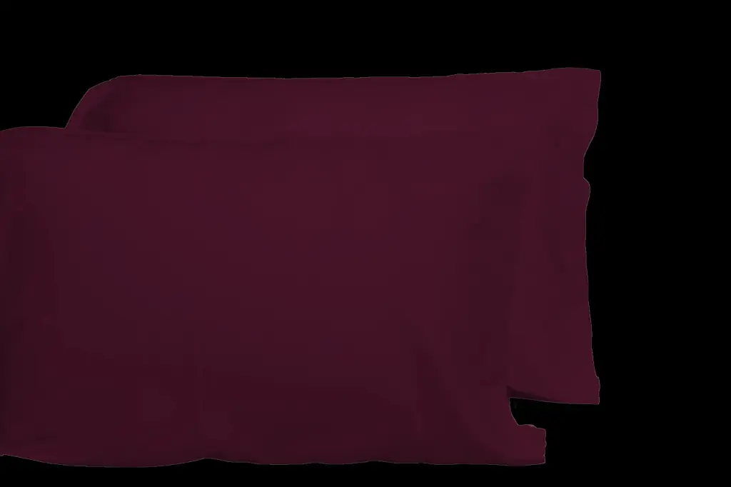 Luxurious Viscose 2 Piece Pillowcase Set from 100% Bamboo OEKO TEX Certified dty home