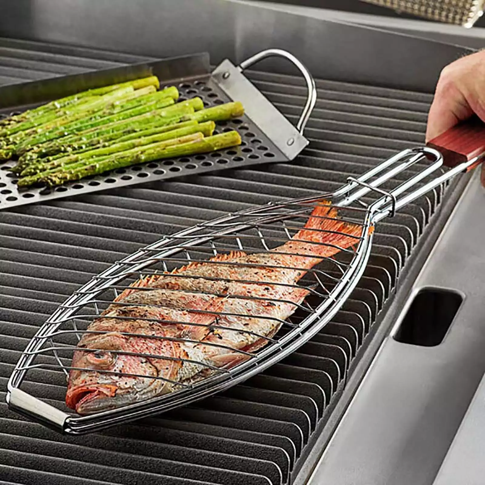 Blaxill BBQ Accessories Outdoor Camping Folding Barbecue Oven Rack Charcoal Tools