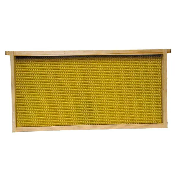 Harvest Lane Honey WWFFD-101-5 Deep Brood Frame Foundation Assembled 5-Pack Beekeeping