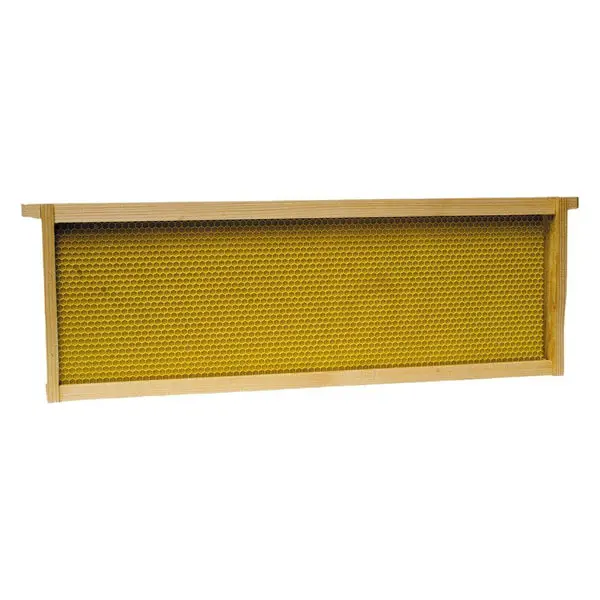 Harvest Lane Honey WWFFM-102-5 Medium Honey Super Frame Foundation 5-Pack Beekeeping