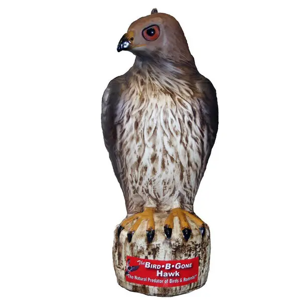 Bird-B-Gone MMRTH1 Plastic Life Like Red Hawk Decoy Bird Repellent - Effective Bird Deterrent Bird B Gone
