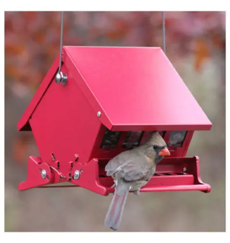 Audubon Mini Absolute II Squirrel Proof Hopper Bird Feeder 4 Lbs Capacity