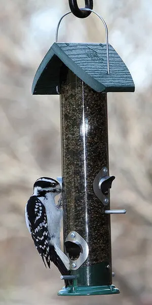 Audubon NAGGTUBE4 Going Green Mixed Seed Tube Bird Feeder 18 Inch 2 Lbs
