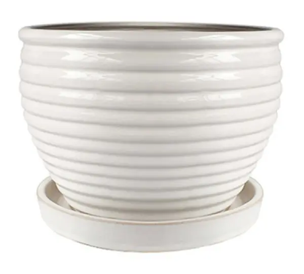 Trendspot CR10479-06W Cream White Glazed Ceramic Honey Planter Indoor Plants