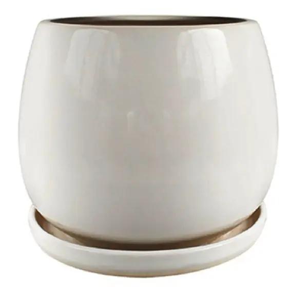 Trendspot CR10975-08W Brooks Artisan 8 Inch Cream White Ceramic Pot Plants