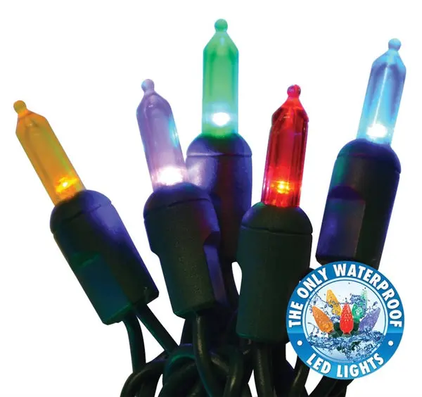 Holiday Bright LEDBX-T550-WW6 Contractor Grade T5-LED 50 Light Set Multi-Color Christmas Lights Holiday Bright Lights