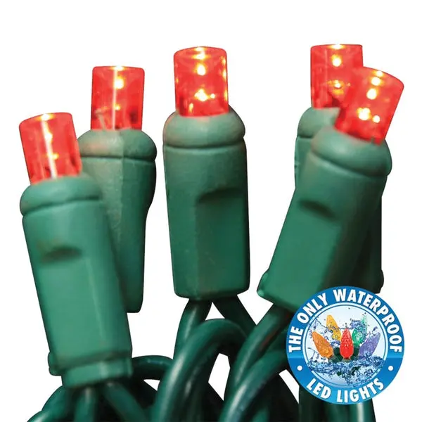 Holiday Bright LEDBX-WA50-RD6 Contractor Grade LED 50 Light Set Red Christmas Lights Holiday Bright Lights