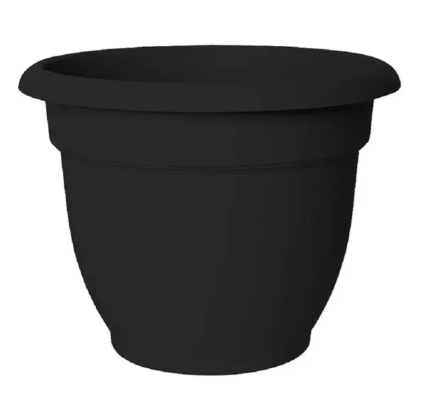 Bloem 20-56910 Ariana Planter Black 10 Inch