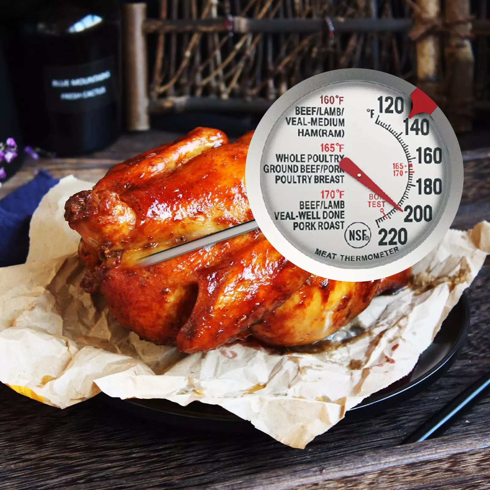 Cheers US Stainless Steel Dial Meat Cooking Thermometer Candy Deep Fry Turkey BBQ Grill