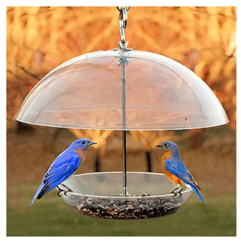 Audubon Dome Top Seed Bluebird Feeder 11.75 Inch