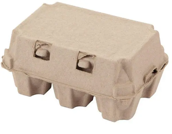 SummerHawk Ranch 33669 Egg Holds Carton 6 Eggs