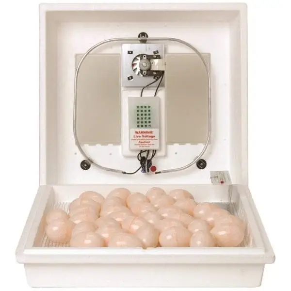 Miller 10300 Circulated Air Egg Incubator Poultry Farming