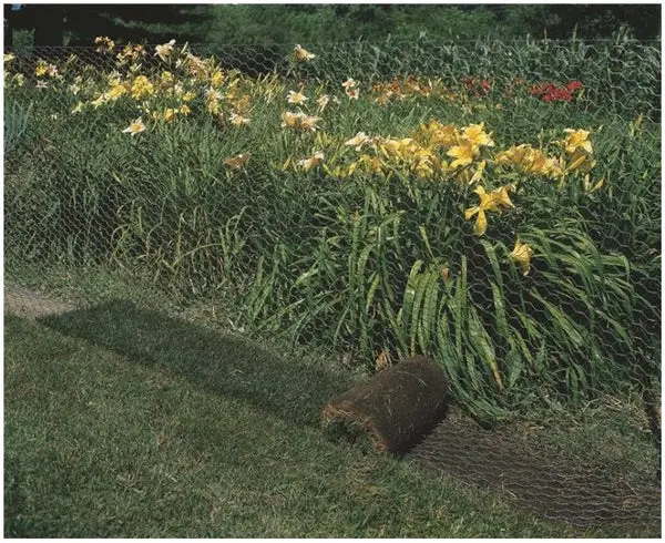 Red Brand 73660 60" x 150' Apron Fence