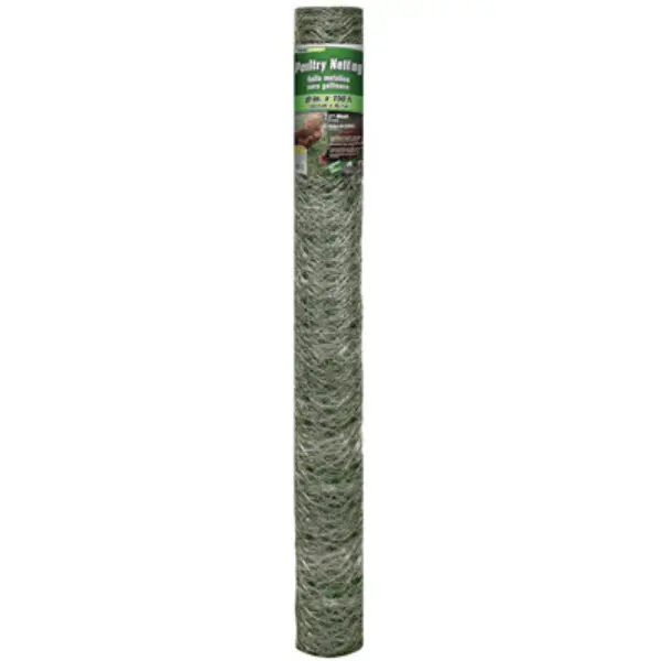 YardGard 308497B 20-Gauge Galvanized Poultry Netting 2 Inch Mesh 60x150 Feet