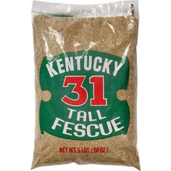 Barenbrug 16205 Kentucky-31 Tall Fescue Grass Seed 5 Lbs Lawns and Landscaping