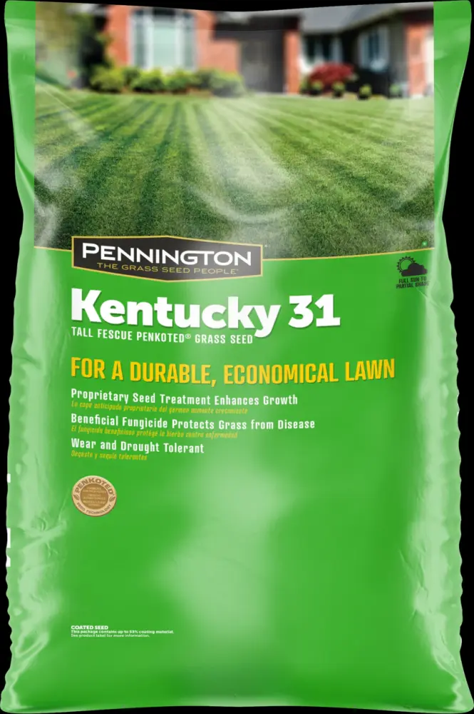 Pennington Kentucky 31 Series 100516056 Grass Seed, 50 lb Bag