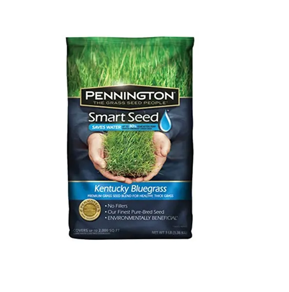 Pennington 100526631 Smart Seed Kentucky Bluegrass Seed 3 lbs 2000 sq-ft