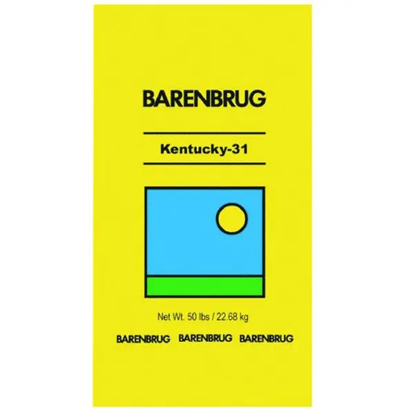 Barenbrug 491145 Kentucky-31 Tall Fescue Grass Seed 50 Lbs Durable Lawns