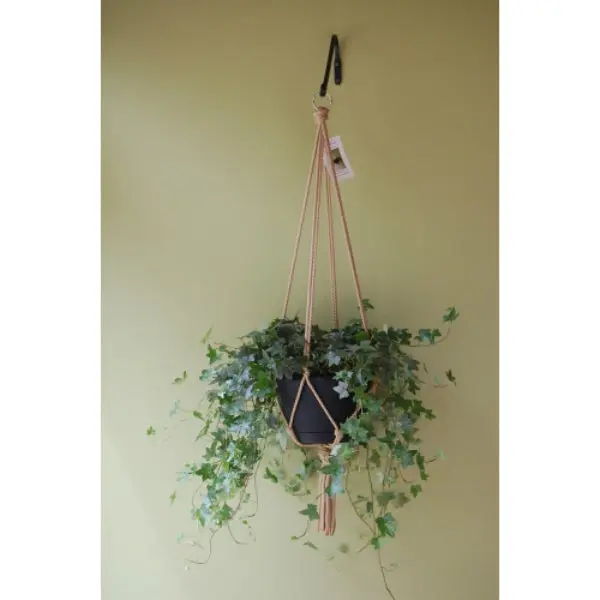 Primitive Planters 54002176 Macrame Plant Hanger 36" Assorted Colors Indoor Outdoor Use