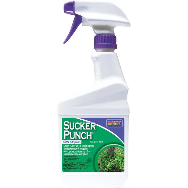 Bonide 2761 Sucker Punch Knock Out Sprouts Ready To Use 1 Pint Tree Care