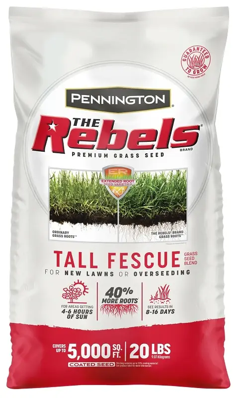 Rebels 100543730 Grass Seed Blend, Elevated Fescue, 20 lb Bag