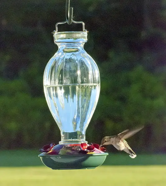Audubon NA35243 Fluted Glass Bottle Hummingbird Feeder 20 Oz Outdoor Bird Watching