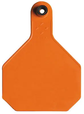 Y-Tex 7903000 All American Blank Tag Orange Large 25 Pack 2 Piece Livestock Identification