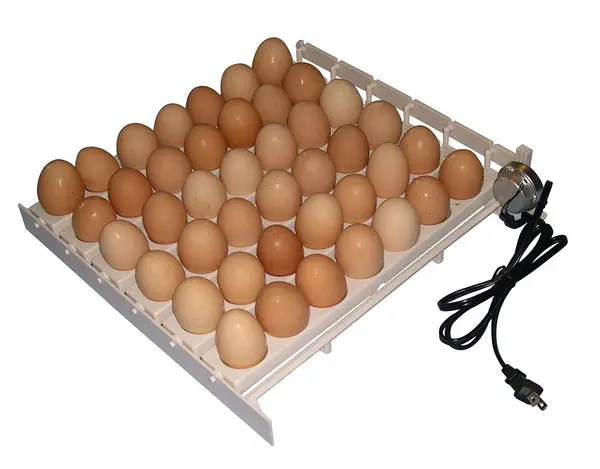 Farm Innovators 3200 Automatic Poultry Chicken Egg Turner 41 Large Cups Incubator Accessory