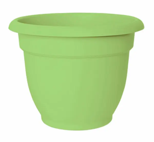 Bloem AP1025 Ariana Planter Self-Watering Disc Insert 10 Inch Honey Dew