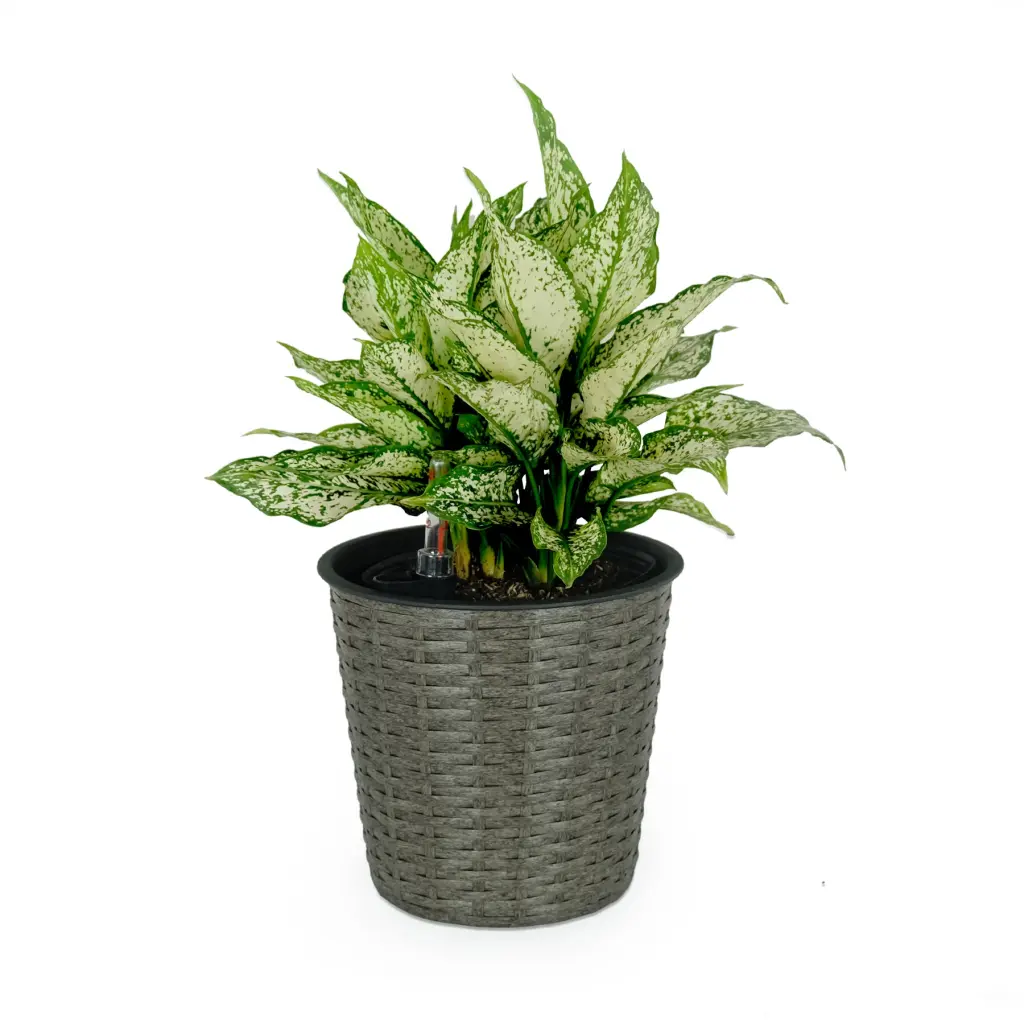 10.2 Inch Self Watering Wicker Planter Indoor and Outdoor Decor Round Basket dty home