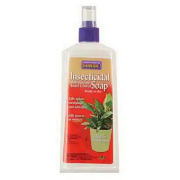 Bonide 112 Houseplant Insecticidal Soap Ready To Use 12 Oz Indoor Plants