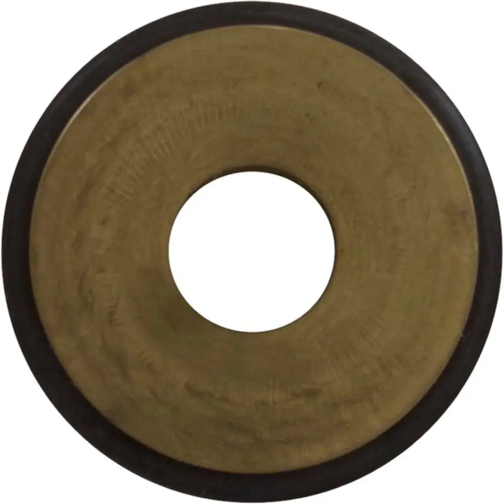 Pentair 77707-1361 Real Gas to Propane Conversion Replacement Kit Sta-Rite Max-E-Therm 200 Pool and Spa Heater