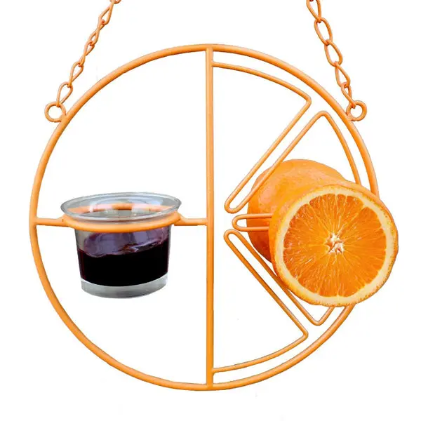 Heath CF-133 Clementine Oriole Bird Feeder Attached Hanging Chain Attracting Birds