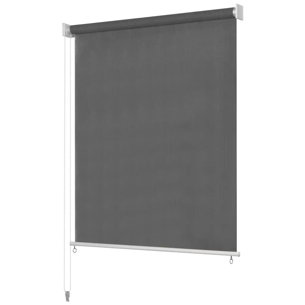 Outdoor Roller Blind 94.5x55.1 Inches Anthracite Weatherproof Window Cover