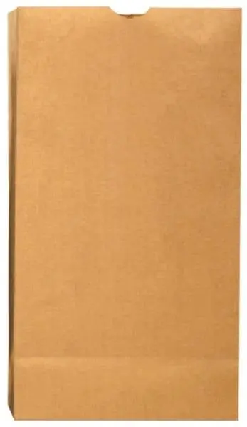 Duro Bag 18405 5-lb Kraft Paper Grocery Bag Bundle 500 Brown