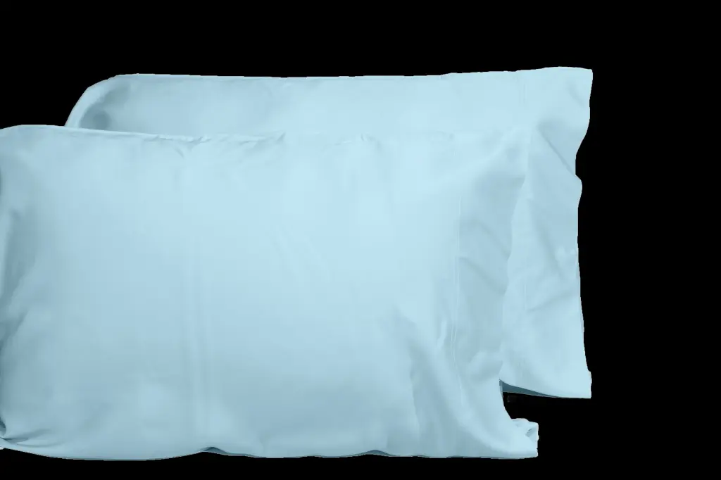 Luxurious Viscose 2 Piece Pillowcase Set 100% Bamboo OEKO-TEX Certified dty home
