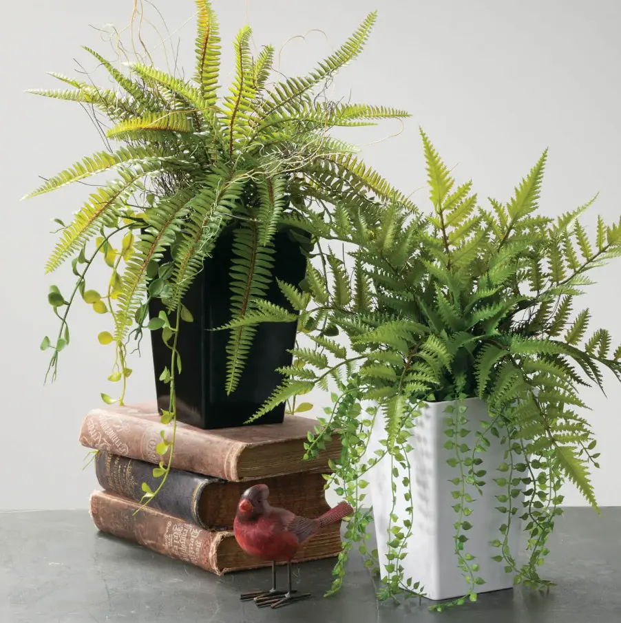White Potted Fern