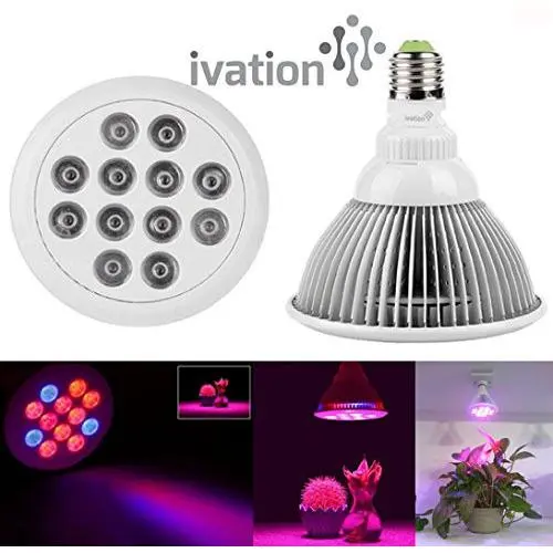 Led Plant Grow Buoyant Bulb Hydroponic Greenhouse Plants 3-Pod Starter Kit