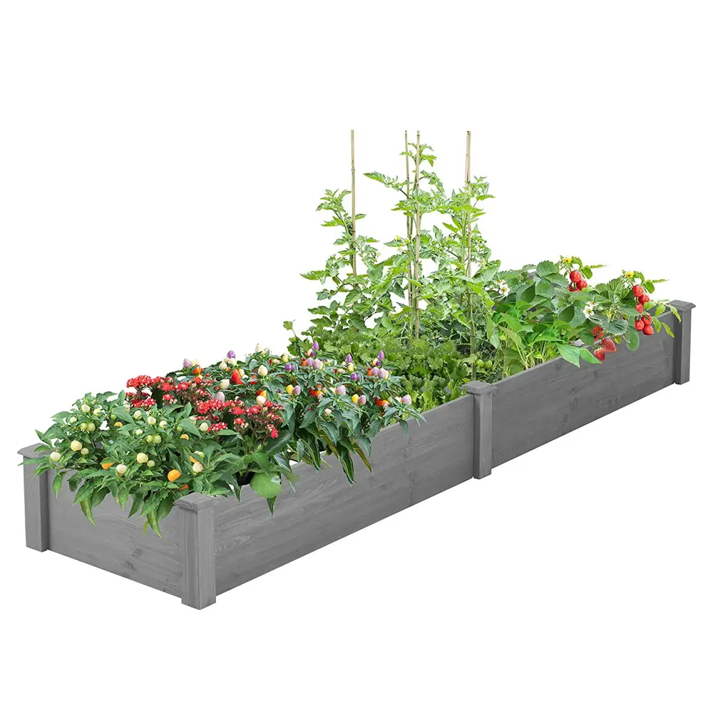 Seed Starting Outdoor Raised Garden Bed