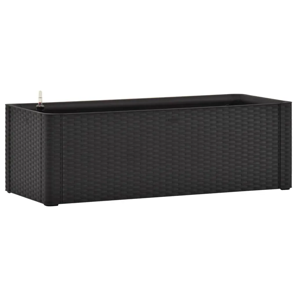 Garden Raised Bed Self Watering System Anthracite 39.4x16.9x13 Inches