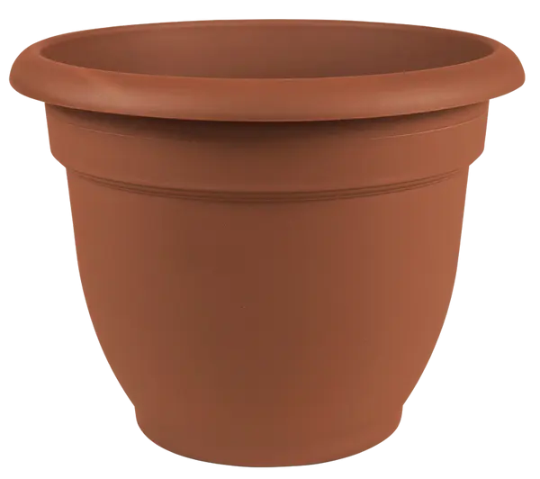 Bloem Ariana 10 Inch Terra Cotta Plastic Planter Self Watering Disk