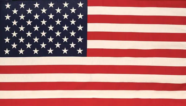 Valley Forge 99000-1 29 x 50 Inch Poly Flag Sleeve