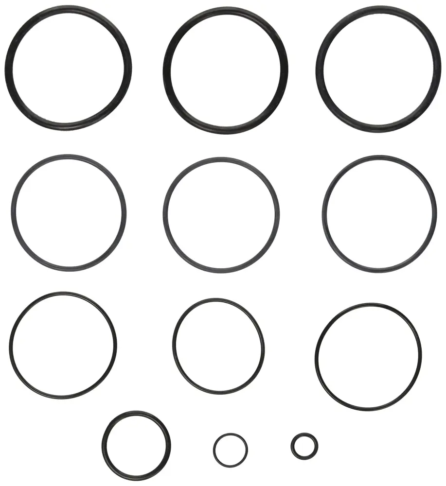 Zodiac R0358000 O-Ring Replacement Kit Pick Zodiac D.E. and Cartridge Pool and Spa Filters