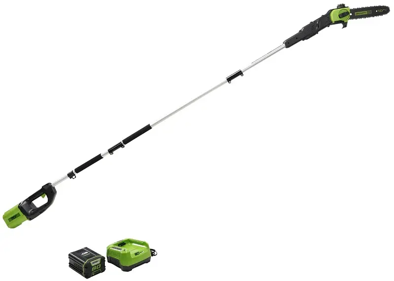 Greenworks 1405802 Pole Saw, Aircraft-grade Pole Safety Glasses
