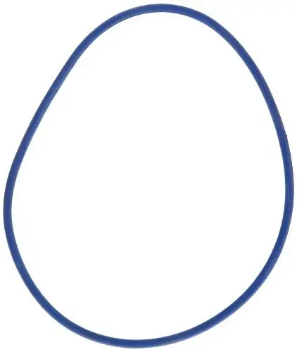 Zodiac R0479000 Replacement Pressure Test O-Ring Jandy SHPF/SHPM/SWF/JEP, Indigo