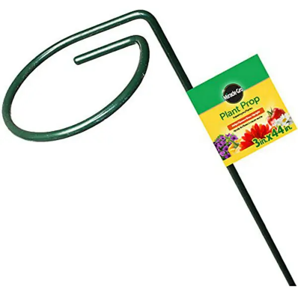 Miracle-Gro SMG12101W Plastic Coated Steel Plant Support 3 Inches x 44 Inches Durable Garden Prop