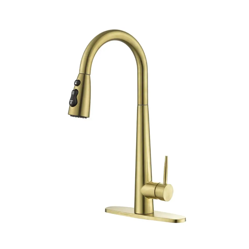 Kitchen Faucet Pull Down Sprayer Gold Stainless Steel w2287